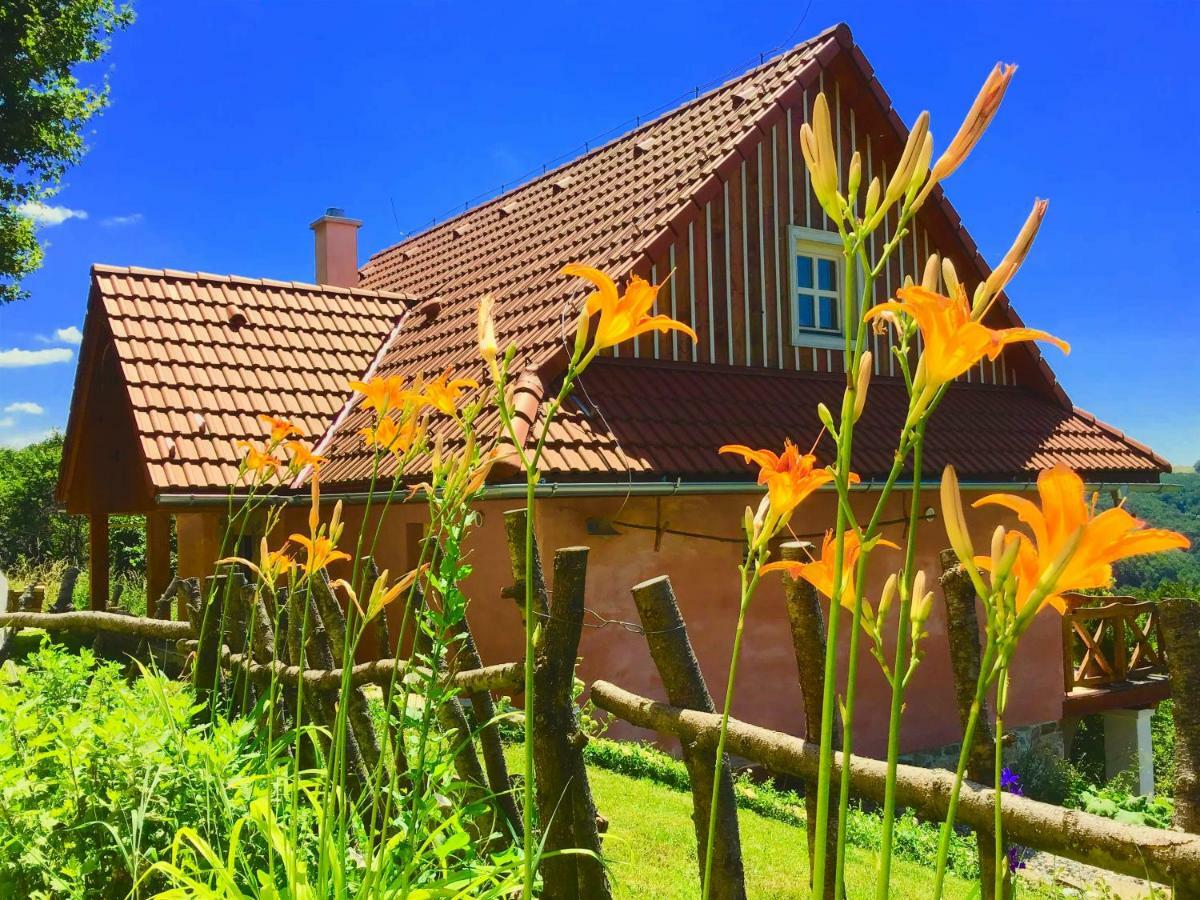 Kopanicky Dvor Guest House Hodruša Eksteriør bilde